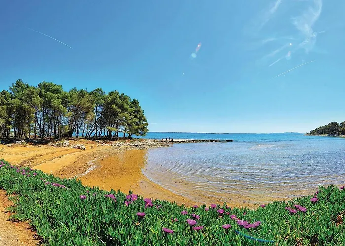 Gorgeous In With Wifi *